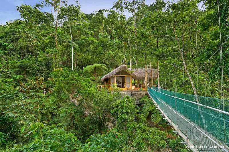 treehouse hotel pacuare lodge